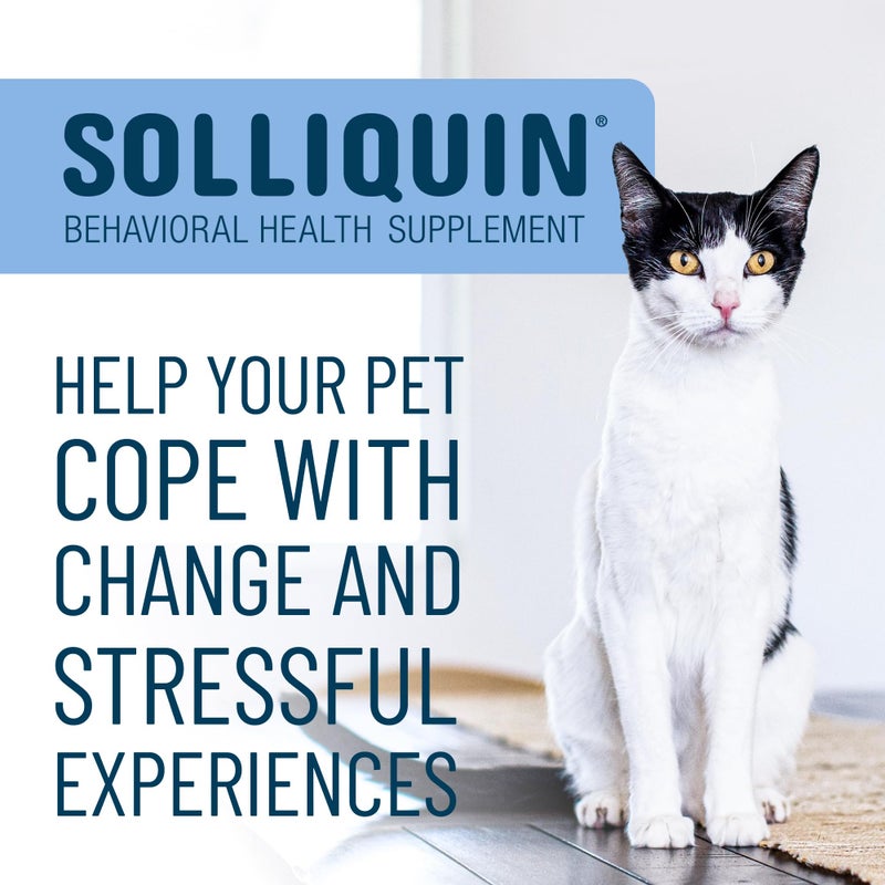 Nutramax Laboratories Nutramax Solliquin Calming Behavioral Health Supplement for Small to Medium Dogs and Cats - With L-Theanine, Magnolia / Phellodendron, and Whey Protein Concentrate, 75 Soft Chews - Image 3
